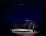 Thomas Demand, Zaun (Fence), 2004, artist made dye destruction print, face-mounted and mounted