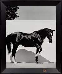 Steven Klein, L-Star, Bridgehampton NY, 1999, artist made gelatin silver print, mounted, in artist's frame