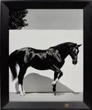 Steven Klein, L-Star, Bridgehampton NY