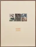 Gilbert&George, PLUMS (POST CARD SCULPTURE), 1975, postcards on board, in artists' frame