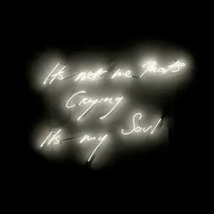 Its not me Thats Crying Its my Soul by Tracey Emin, 2011, warm white neon, sold Jun 2025