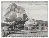 Christo, Wrapped Trees (Project for Fondation Beyeler and Berower Park, Riehen, Switzerland), 1998, graphite and pastel on paper laid down on board, in Plexiglas box