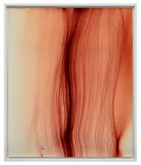 Wesen by Wolfgang Tillmans, 2001, chromogenic print, mounted, in artist's frame, sold Jun 2025