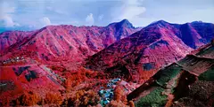 Richard Mosse, I Walk the Line, 2012, Chromogenic print, mounted