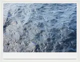 Wolfgang Tillmans, Tasmania