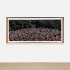 Love Parade by Andreas Gursky, 2001, chromogenic print, mounted and face-mounted, in artist's frame, offered Oct 2025