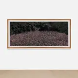 Andreas Gursky, Love Parade