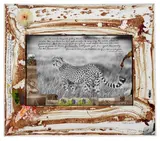 Peter Beard, Single Cheetah