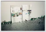 Wolfgang Tillmans, after party (c), 2002, c-type print, in artist’s frame