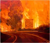 Luke Silva, Coimbra Fire, 2023, watercolour on canvas