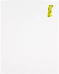 David Ostrowski, F (Musik ist Scheisse), 2014, acrylic and lacquer on canvas