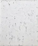Chris Succo, Flesh #1