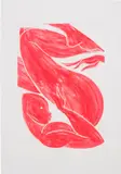 Tunji Adeniyi-Jones, Red Reflection