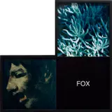 John Baldessari, Fox, maquette for Elbow Series (B1), 1999, colour print mounted on board, in artist's frame