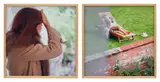 Ryan Gander, A Study for English Girls / Foreign Girls, 2011, c-print, in artist's frame, diptych