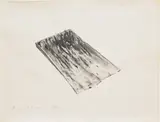 Roni Horn, Untitled