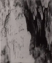 The Eternal Kiss from The Poetry of Form: Part of an Ongoing Attempt to Develop an Auteur Theory of Naming by Mike Kelley, 1985-1996, gelatin silver print in artist's mount, sold Mar 2025