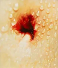 Marilyn Minter, Belly, 2008, enamel on aluminium