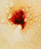 Marilyn Minter, Belly, 2008, enamel on aluminium