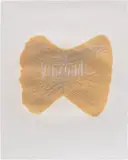 Heidi Bucher, Westliche Keiljungfer, 1979, embossing and linseed oil, graphite, and mother-of-pearl pigment on paper