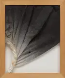John Latham, Canvas Event [4], 1994, spray paint on canvas with wooden stretcher
