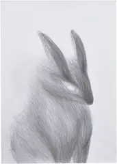 Ohne Titel (Bunny) by Miriam Cahn, 2009, graphite on paper, sold Jun 2025