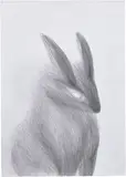 Miriam Cahn, Ohne Titel (Bunny), 2009, graphite on paper