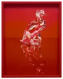 Elad Lassry, Cat and Duck (Red), 2011, chromogenic print, in artist's frame