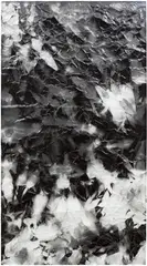 Walead Beshty, Picture Made by My Hand with the Assistance of Light, 2012, black and white fiber-based photographic paper