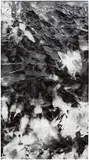 Walead Beshty, Picture Made by My Hand with the Assistance of Light, 2012, black and white fiber-based photographic paper