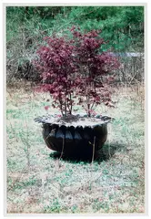 Upstate by Richard Prince, 1995-1999, chromogenic print, sold Jun 2025