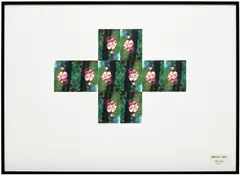 Gilbert&George, DIGITALIS CROSS (POST CARD PIECE), 1981, postcards on board, in artist's frame