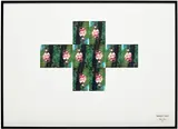 Gilbert&George, DIGITALIS CROSS (POST CARD PIECE), 1981, postcards on board, in artist's frame