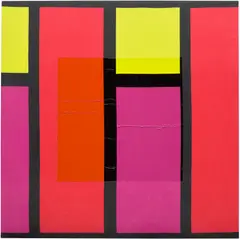 Bertrand Lavier, Cisco, 2007, oil and resin on fabric