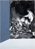 Mircea Suciu, Interior with Wallpaper (Burning Books)