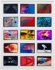 Josh Kolbo, Untitled, 15 chromogenic prints, framed