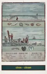 Marcel Broodthaers, Citron – Citroen (Réclame pour la Mer du Nord) (Lemon – Lemon (Ad for the North Sea)) (V. 19), 1974, Offset lithograph and screenprint in colours, on heavy wove paper, the full sheet