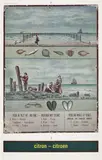 Marcel Broodthaers, Citron – Citroen (Réclame pour la Mer du Nord) (Lemon – Lemon (Ad for the North Sea)) (V. 19), 1974, Offset lithograph and screenprint in colours, on heavy wove paper, the full sheet