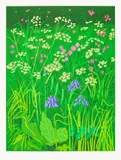 David Hockney, The Arrival of Spring in Woldgate, East Yorkshire in 2011 (twenty eleven) - 17 May, 2011, iPad drawing in colours, with expert restoration including touching-in, printed on wove paper, with full margins