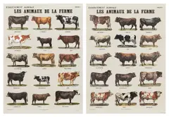 Marcel Broodthaers, Les animaux de la ferme (Farm Animals) (V. 22), 1974, The complete set of two offset lithographs in colours, one with hand additions in pencil, on Schoeller-Parole paper, the full sheets