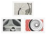 Elaine Sturtevant, Duchamp Triptych, from Sequences