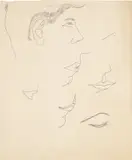 Andy Warhol, Studies of a Male Head, 1955-57, Graphite drawing, on lightweight wove paper
