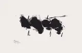 Robert Motherwell, Automatism Elegy (State I White) (E. & B. 271)
