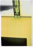 Wolfgang Tillmans, Tate Modern Edition #29, 2016, Unique photocopy print in colours, on lightweight wove paper, with full margins