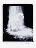 William Wegman, Dusted