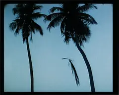 Deadline (Parkett 80) by Allora & Calzadilla, 2007, DVD from a 3 minute 16 mm silent colour film, contained in the original transparent plastic case with title cover insert, sold Jan 2025
