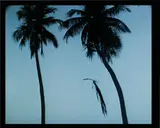 Allora & Calzadilla, Deadline (Parkett 80), 2007, DVD from a 3 minute 16 mm silent colour film, contained in the original transparent plastic case with title cover insert