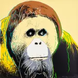 Andy Warhol, Orangutan, from Endangered Species (F. & S. 299), 1983, Screenprint in colours, on Lenox Museum Board, the full sheet