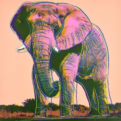 Andy Warhol, African Elephant, from Endangered Species (F. & S. 293), 1983, Screenprint in colours, on Lenox Museum Board, the full sheet