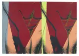 Andy Warhol, Torso (Double) (see F. & S. IIIA.35), circa 1982, Unique screenprint in colours, on Saunders Waterford Hot Pressed paper, the full sheet